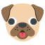 :dog: :dog:
